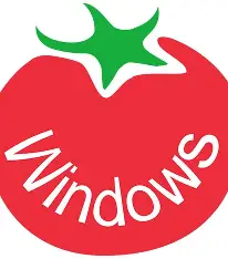 番茄一键装机官方logo